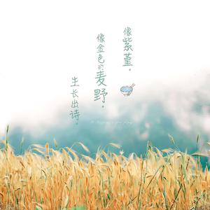 日本60岁高龄老太太模特是谁
