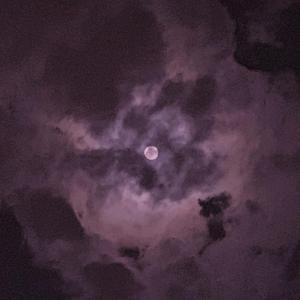 日本60岁高龄老太太模特是谁
